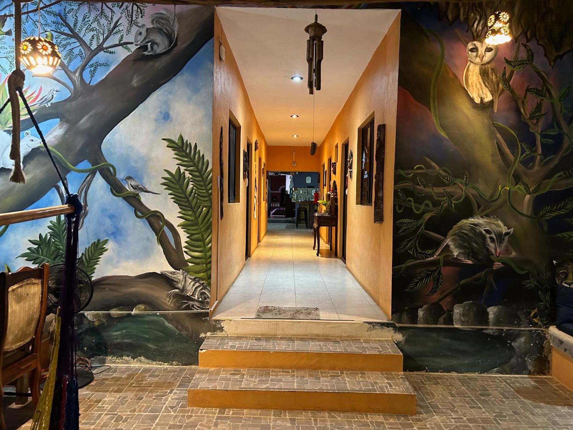 Hostel Casa Xtakay バリャドリッド エクステリア 写真