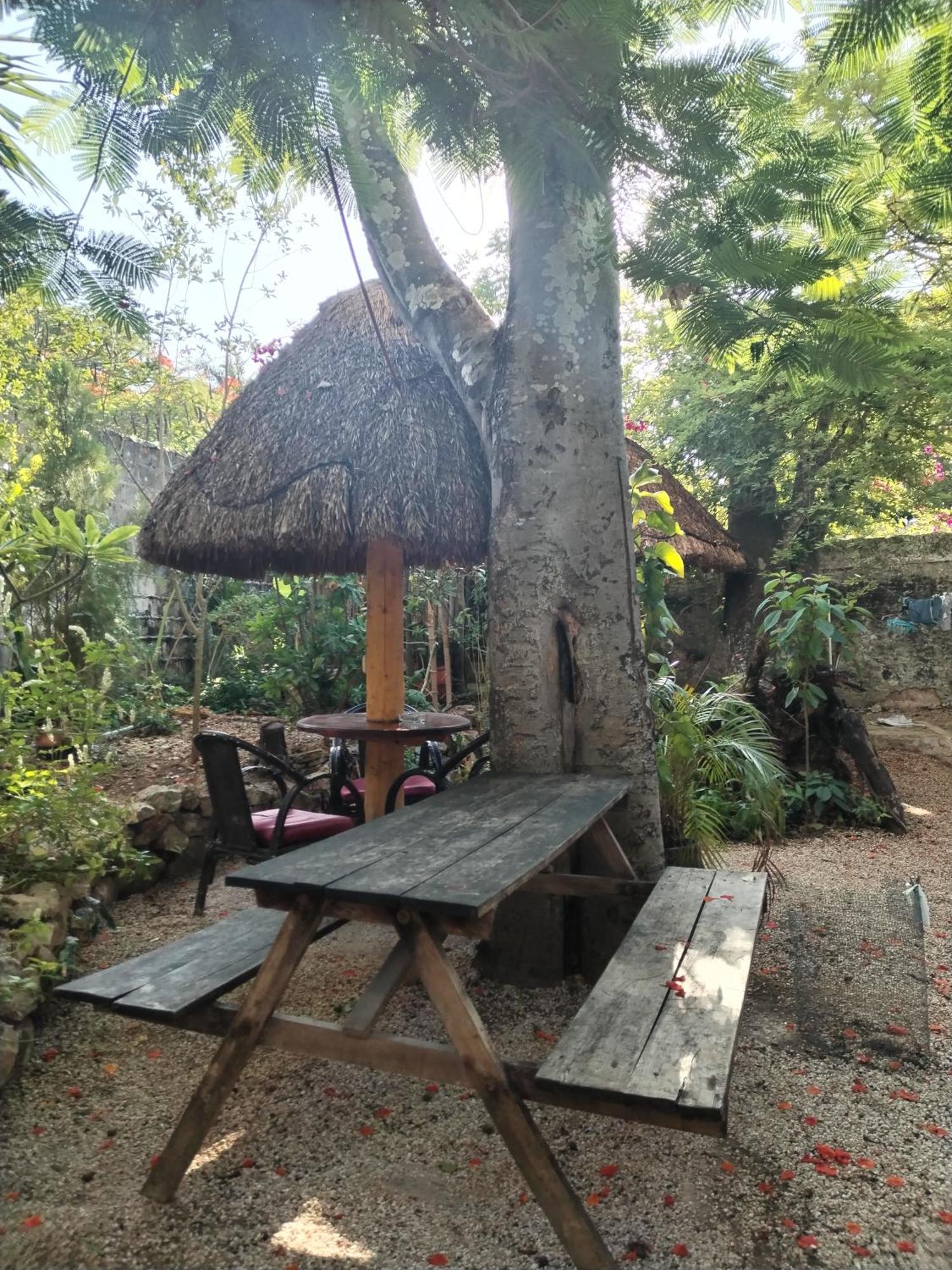 Hostel Casa Xtakay バリャドリッド エクステリア 写真